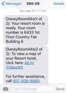 Benefits of Staying at the Disney World Resort