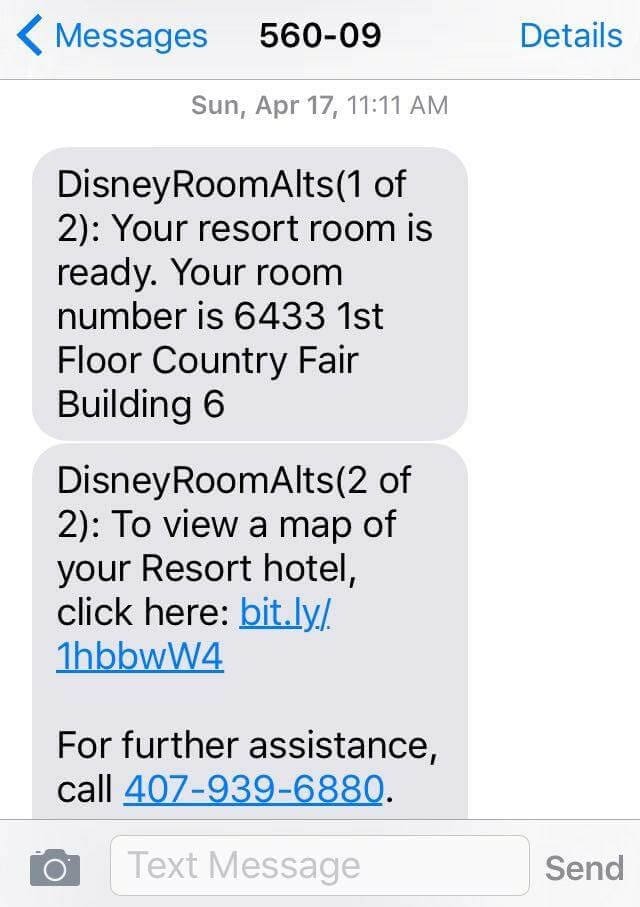 Arrival Day at Disney World