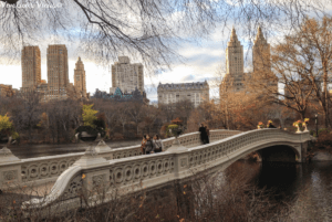 Must Do in New York City