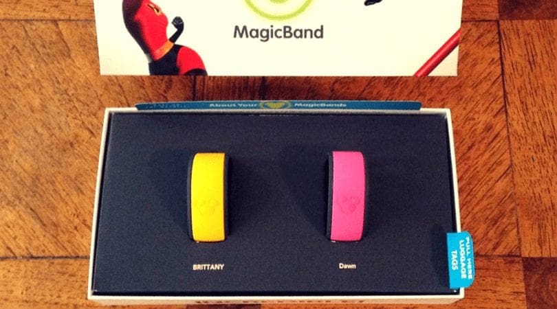 Magic Bands. Disney World. Vivacious Views.