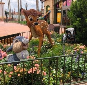 Memorial Day at Disney World. Epcot. Vivacious Views