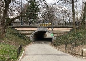 Central Park Faves. Arch(1). Vivacious Views