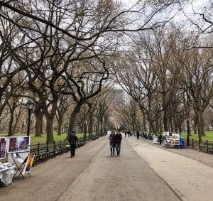 Central Park Faves. The Mall. Vivacious Views