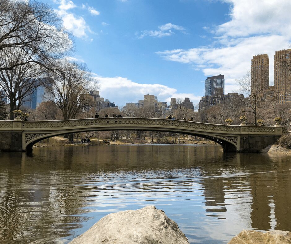 Central Park Faves. Vivacious Views. Travel Blog