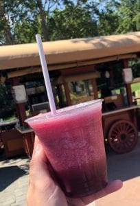 2019 Epcot Flower and Garden Festival. Blueberry Banjo Frosty. Vivacious Views