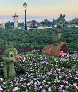 2019 Epcot Flower and Garden Festival. Chip and Dale. Vivacious Views