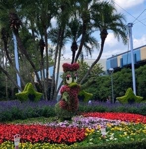 2019 Epcot Flower and Garden Festival. Daisy. Vivacious Views