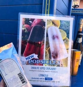 2019 Epcot Flower and Garden Festival. Wine Popsicles. Vivacious Views