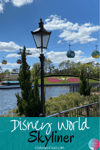 Disney World Skyliner